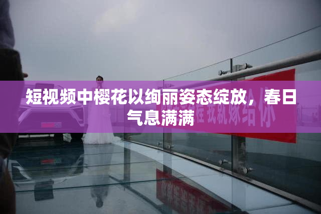 短视频中樱花以绚丽姿态绽放，春日气息满满