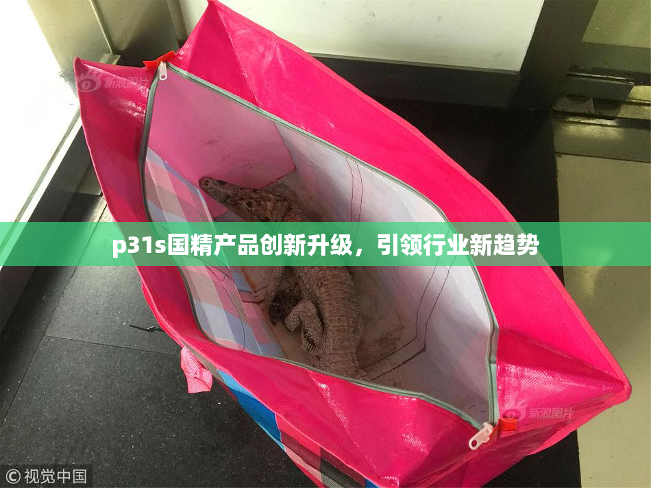 p31s国精产品创新升级，引领行业新趋势