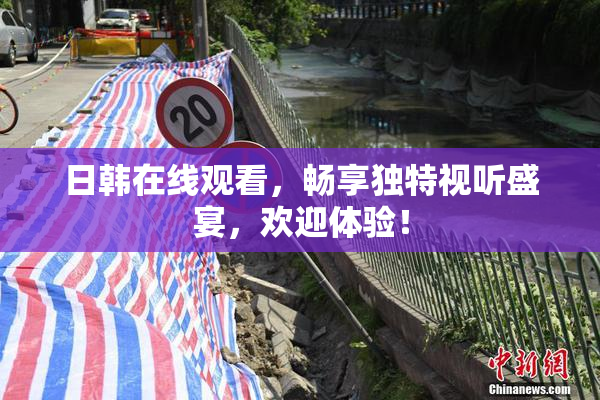 日韩在线观看，畅享独特视听盛宴，欢迎体验！