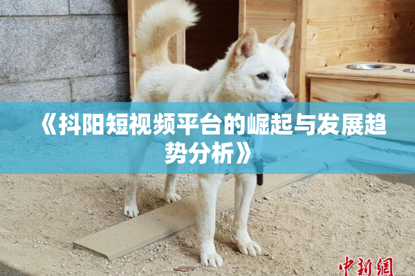 《抖阳短视频平台的崛起与发展趋势分析》