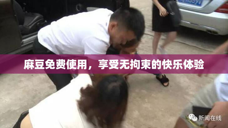 麻豆免费使用，享受无拘束的快乐体验