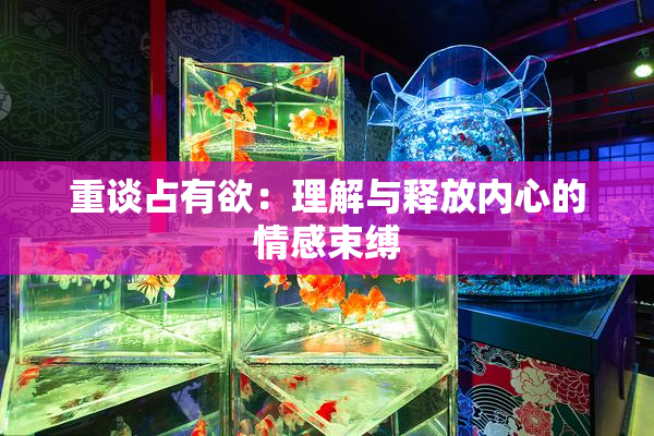 重谈占有欲：理解与释放内心的情感束缚