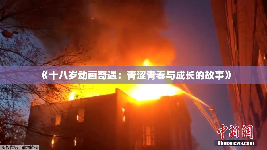 《十八岁动画奇遇：青涩青春与成长的故事》