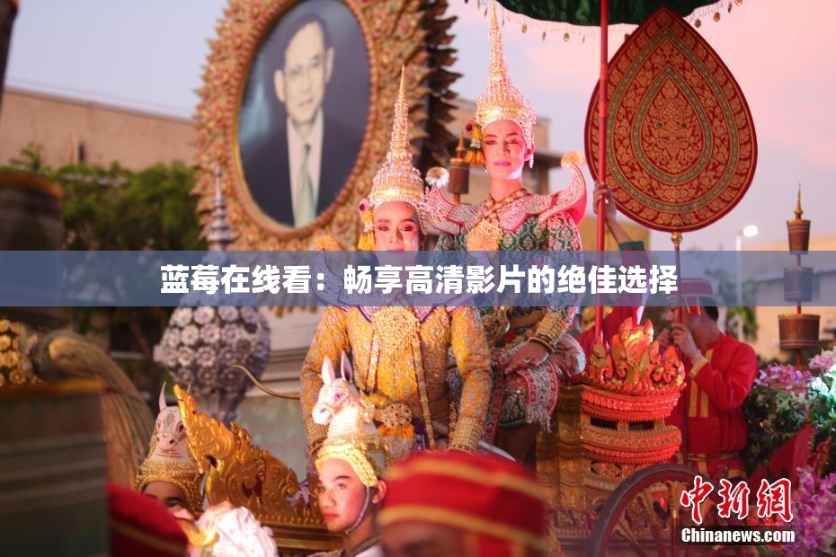 蓝莓在线看：畅享高清影片的绝佳选择
