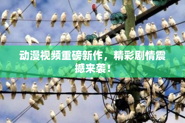 动漫视频重磅新作，精彩剧情震撼来袭！