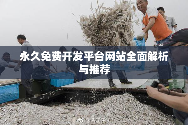 永久免费开发平台网站全面解析与推荐