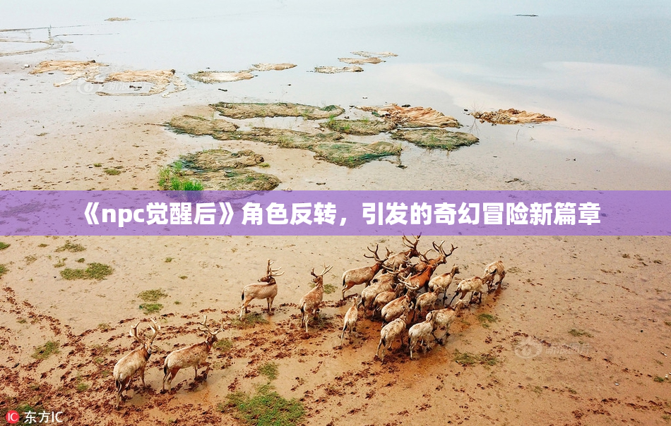 《npc觉醒后》角色反转，引发的奇幻冒险新篇章