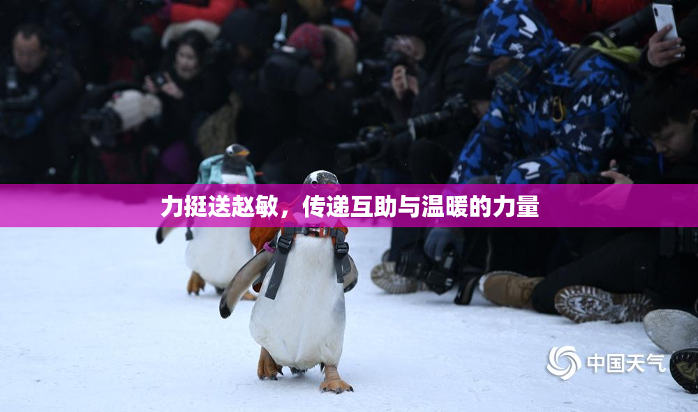 力挺送赵敏，传递互助与温暖的力量