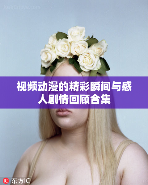视频动漫的精彩瞬间与感人剧情回顾合集