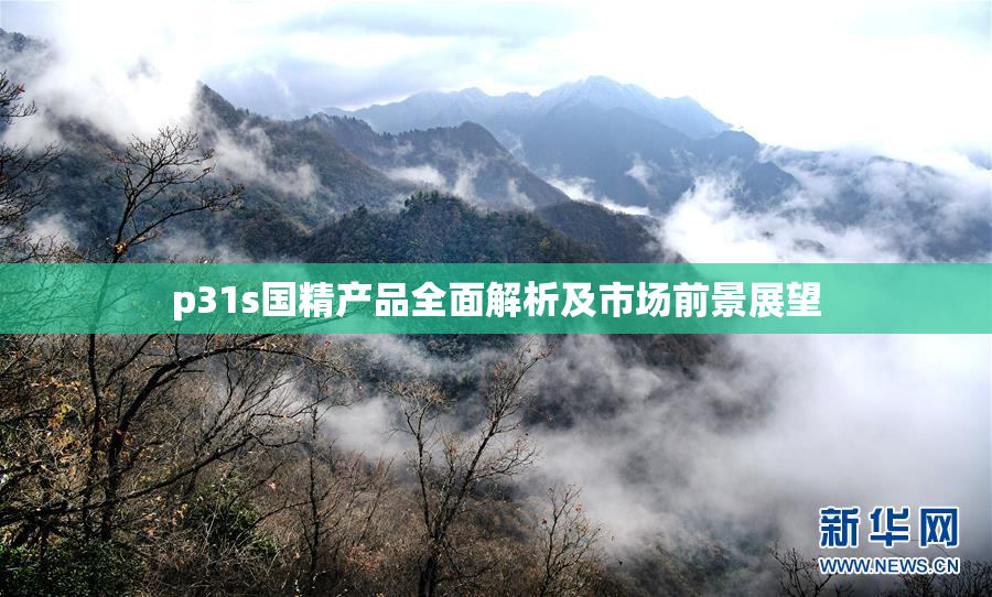 p31s国精产品全面解析及市场前景展望