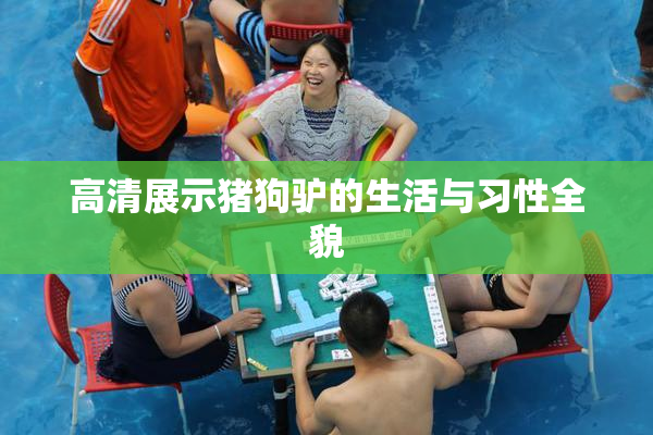高清展示猪狗驴的生活与习性全貌