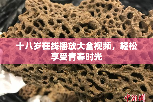 十八岁在线播放大全视频，轻松享受青春时光