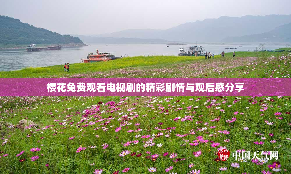 樱花免费观看电视剧的精彩剧情与观后感分享