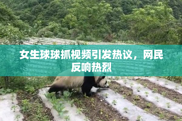 女生球球抓视频引发热议，网民反响热烈