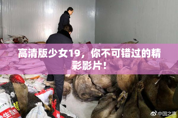 高清版少女19，你不可错过的精彩影片！