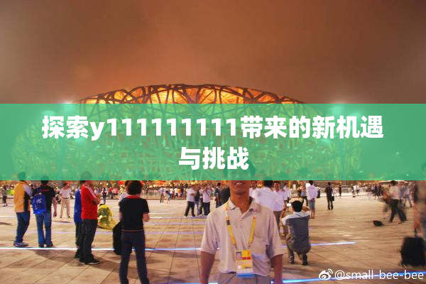 探索y111111111带来的新机遇与挑战