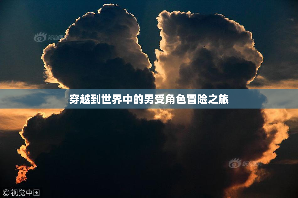 穿越到世界中的男受角色冒险之旅