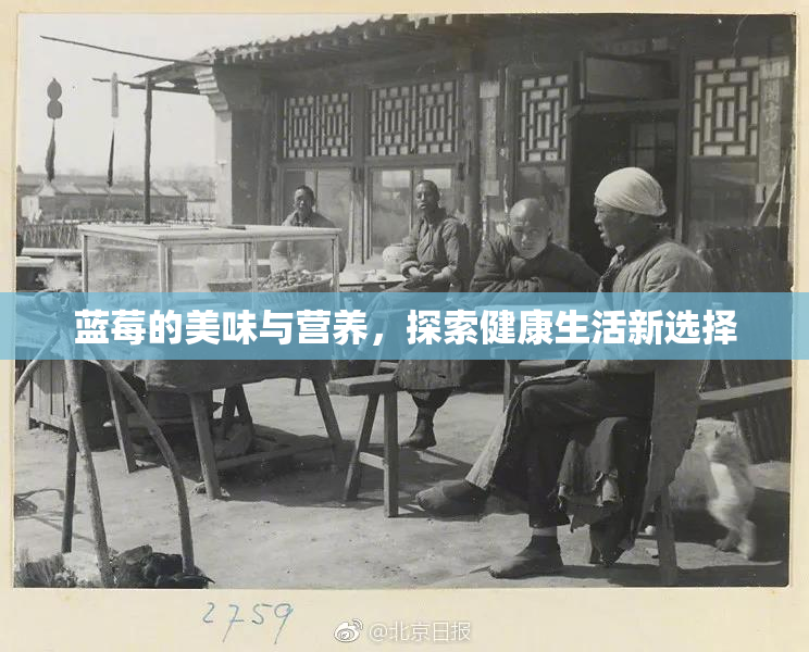 蓝莓的美味与营养，探索健康生活新选择