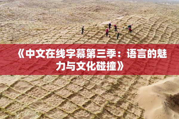 《中文在线字幕第三季：语言的魅力与文化碰撞》