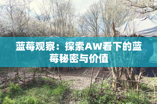 蓝莓观察：探索AW看下的蓝莓秘密与价值