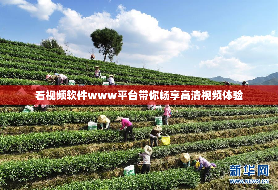 看视频软件www平台带你畅享高清视频体验