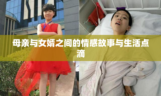 母亲与女婿之间的情感故事与生活点滴