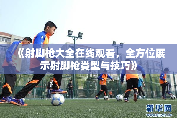 《射脚枪大全在线观看，全方位展示射脚枪类型与技巧》