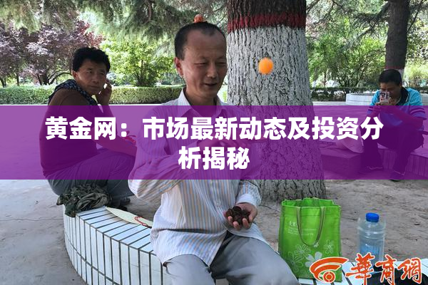 黄金网：市场最新动态及投资分析揭秘