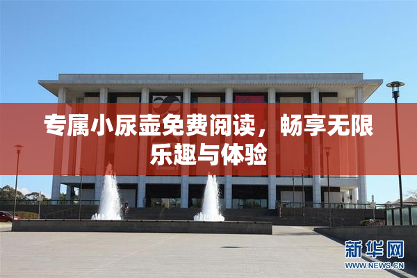 专属小尿壶免费阅读，畅享无限乐趣与体验