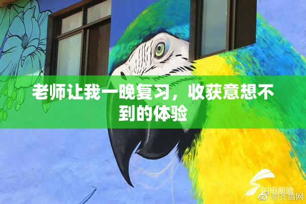 老师让我一晚复习，收获意想不到的体验