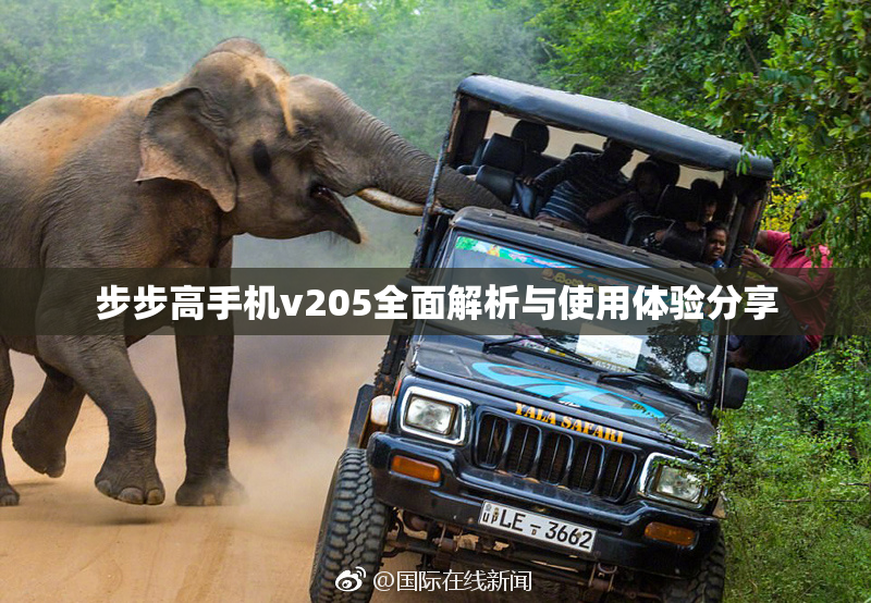 步步高手机v205全面解析与使用体验分享