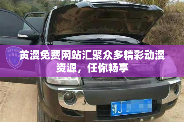 黄漫免费网站汇聚众多精彩动漫资源，任你畅享