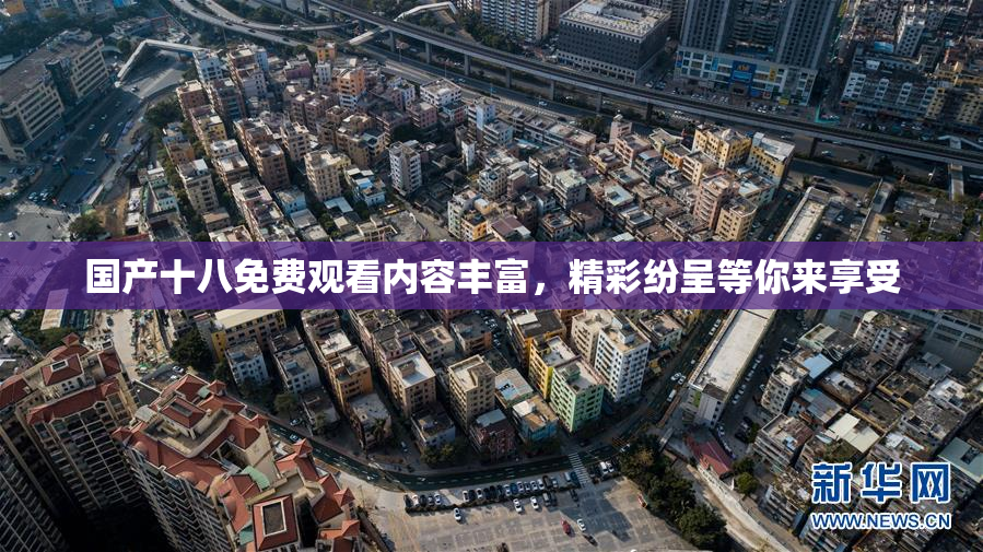 国产十八免费观看内容丰富，精彩纷呈等你来享受