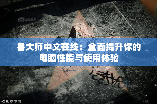 鲁大师中文在线：全面提升你的电脑性能与使用体验
