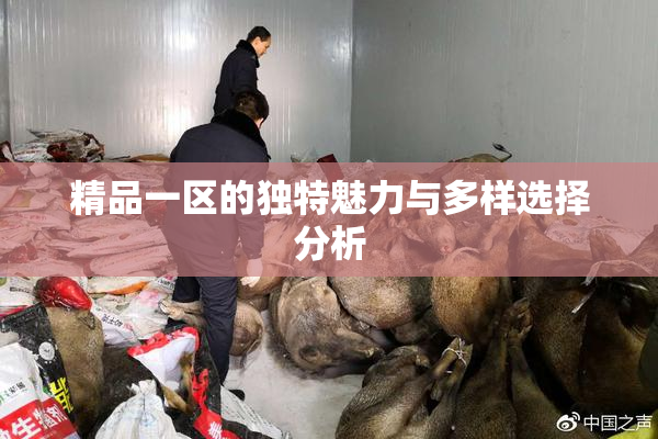 精品一区的独特魅力与多样选择分析