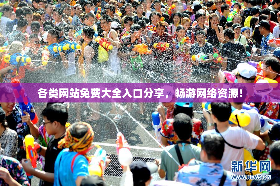 各类网站免费大全入口分享，畅游网络资源！