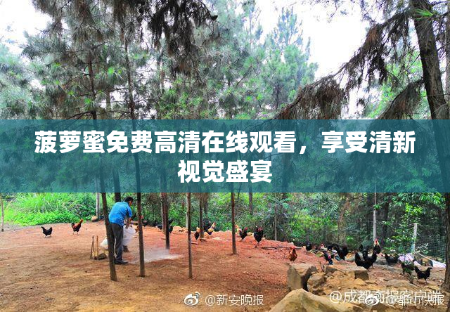 菠萝蜜免费高清在线观看，享受清新视觉盛宴