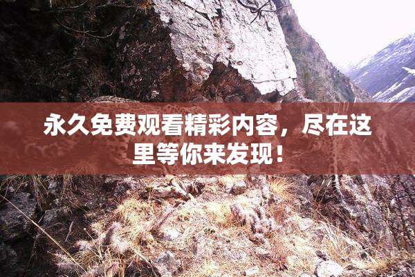 永久免费观看精彩内容，尽在这里等你来发现！