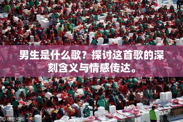 男生是什么歌？探讨这首歌的深刻含义与情感传达。