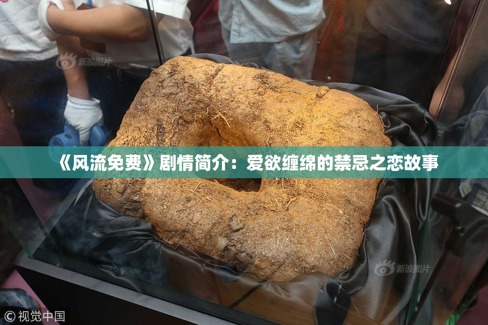 《风流免费》剧情简介：爱欲缠绵的禁忌之恋故事
