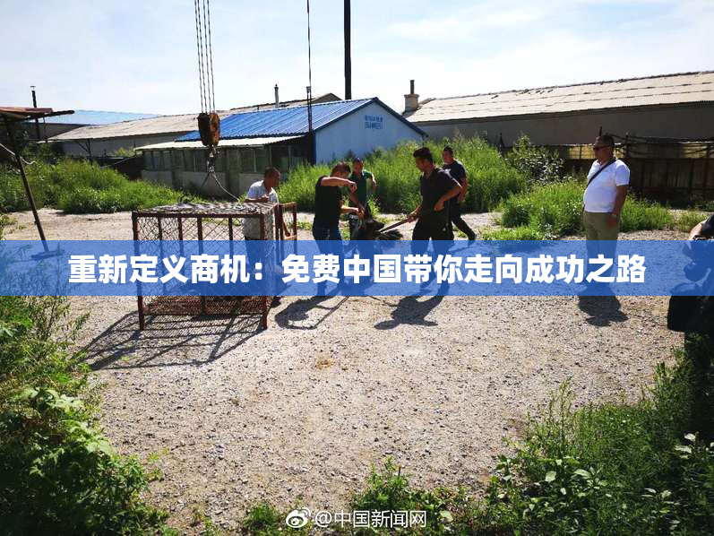 重新定义商机：免费中国带你走向成功之路