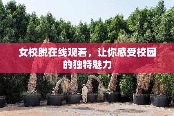 女校脱在线观看，让你感受校园的独特魅力