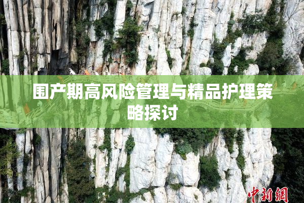 围产期高风险管理与精品护理策略探讨
