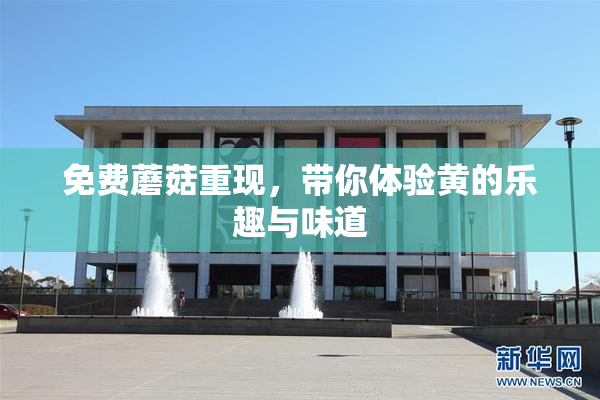 免费蘑菇重现，带你体验黄的乐趣与味道
