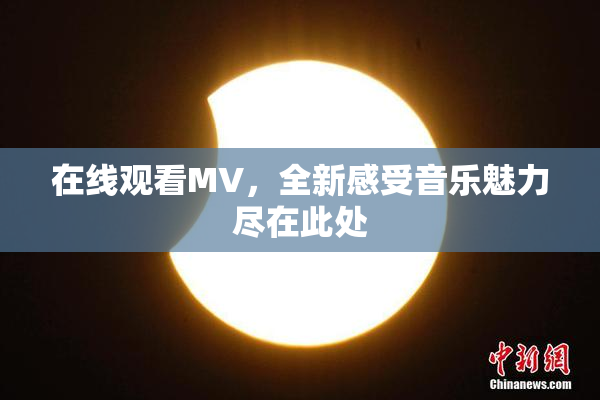 在线观看MV，全新感受音乐魅力尽在此处