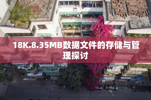 18K.8.35MB数据文件的存储与管理探讨