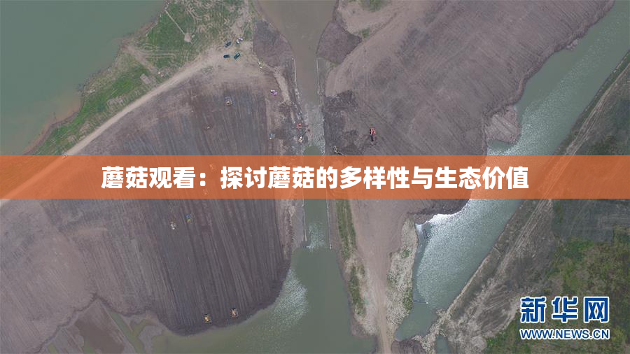 蘑菇观看：探讨蘑菇的多样性与生态价值
