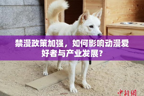 禁漫政策加强，如何影响动漫爱好者与产业发展？