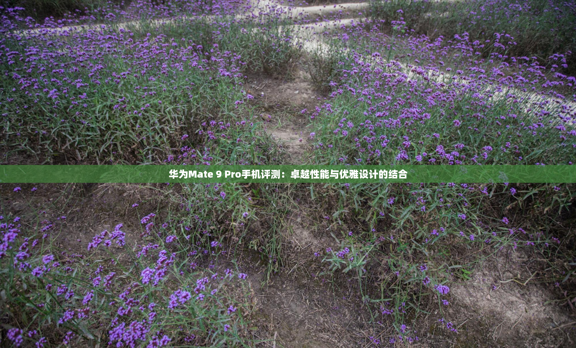 华为Mate 9 Pro手机评测：卓越性能与优雅设计的结合