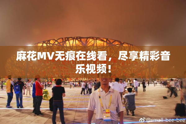 麻花MV无痕在线看，尽享精彩音乐视频！